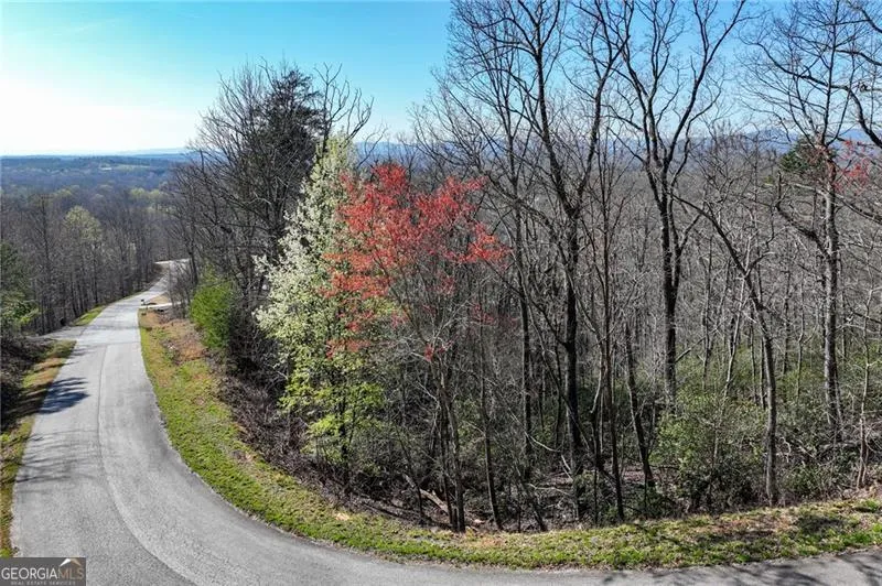 LOT 24 Long Mountain TRL Cleveland, GA 30528