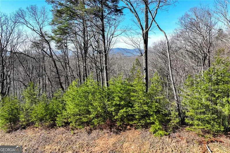 LOT 24 Long Mountain TRL Cleveland, GA 30528