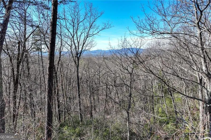 LOT 24 Long Mountain TRL Cleveland, GA 30528