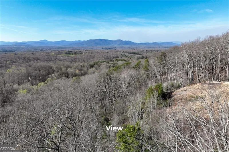 LOT 24 Long Mountain TRL Cleveland, GA 30528