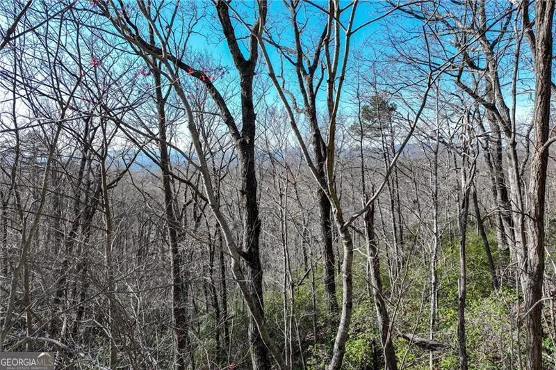 LOT 24 Long Mountain TRL Cleveland, GA 30528