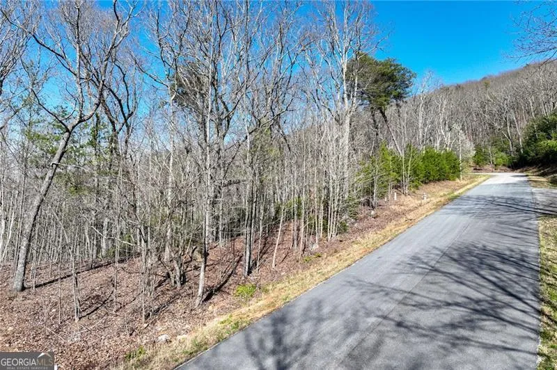 LOT 23 Long Mountain TRL Cleveland, GA 30528