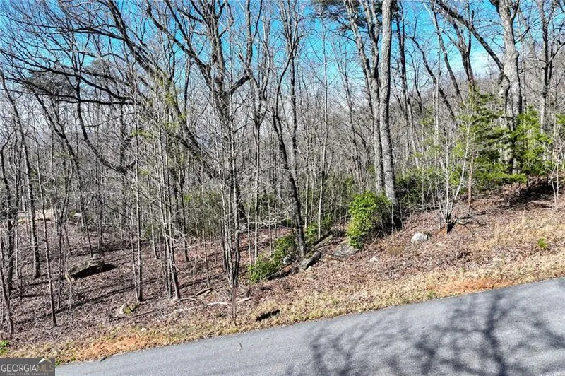 LOT 23 Long Mountain TRL Cleveland, GA 30528