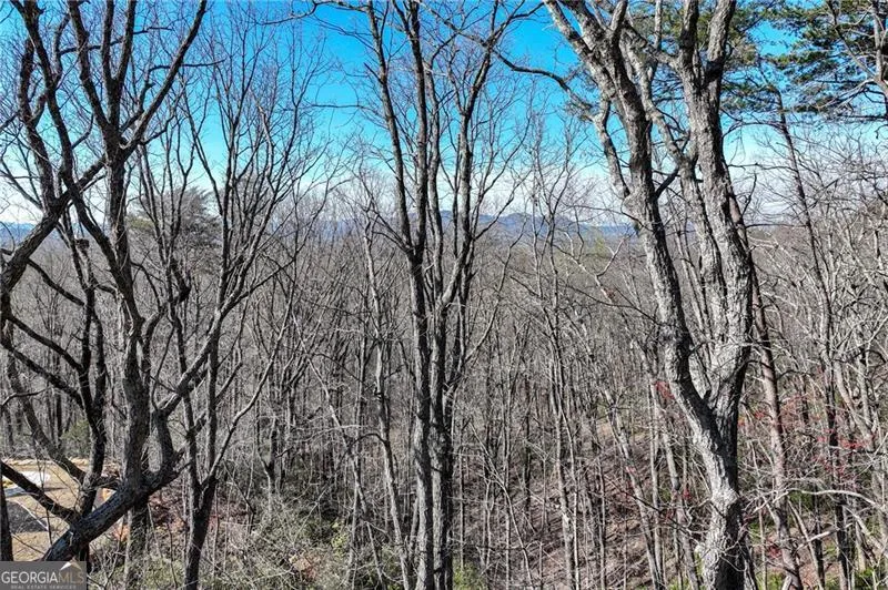 LOT 23 Long Mountain TRL Cleveland, GA 30528