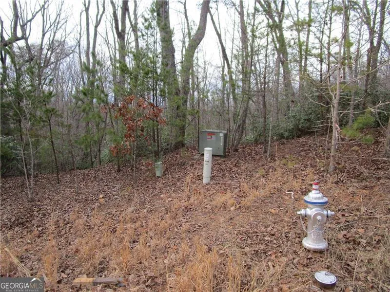 LOT 23 Long Mountain TRL Cleveland, GA 30528