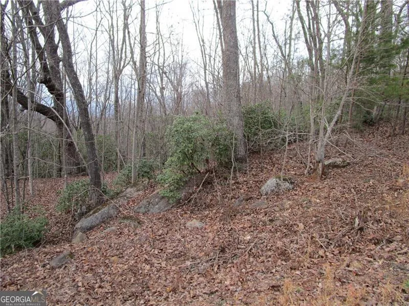 LOT 23 Long Mountain TRL Cleveland, GA 30528