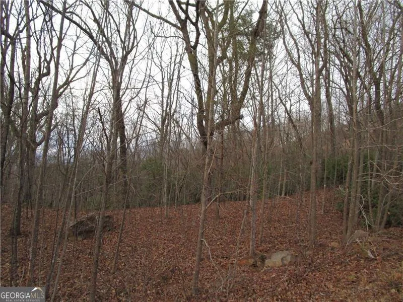 LOT 23 Long Mountain TRL Cleveland, GA 30528