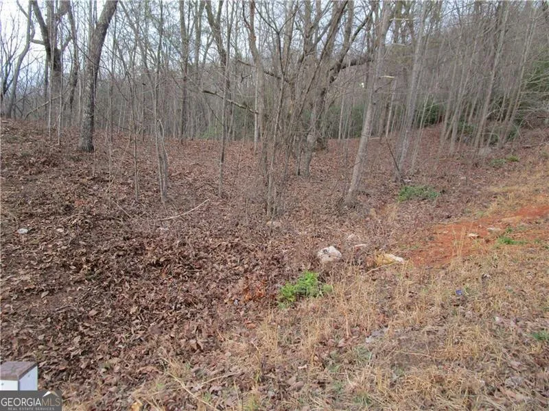 LOT 23 Long Mountain TRL Cleveland, GA 30528