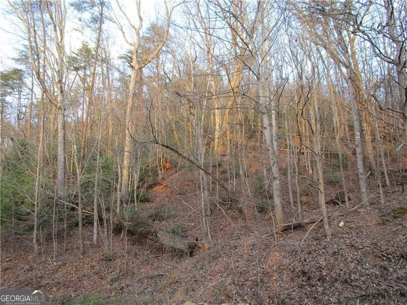 LOT 49 Long Mountain TRL Cleveland, GA 30528