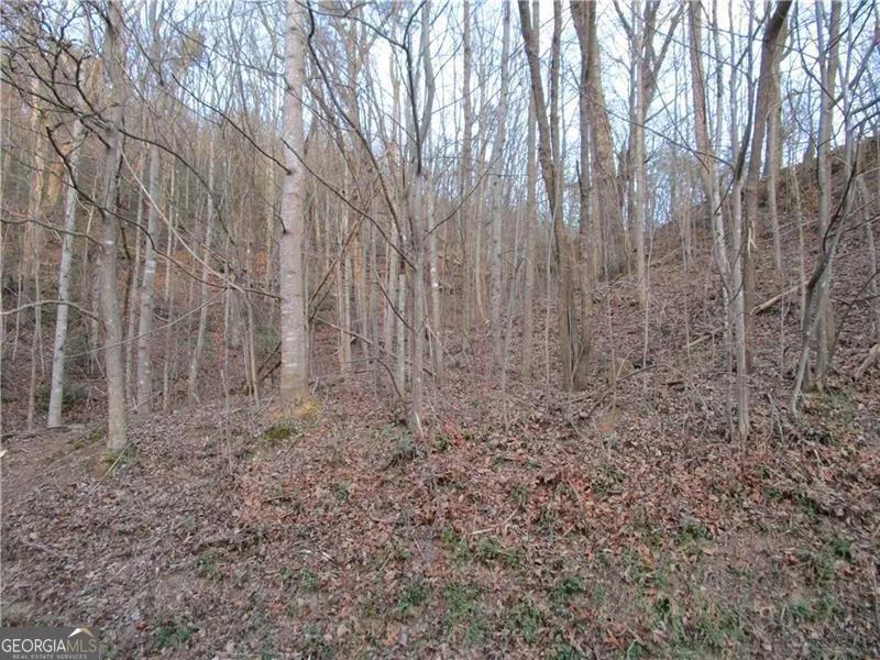 LOT 49 Long Mountain TRL Cleveland, GA 30528