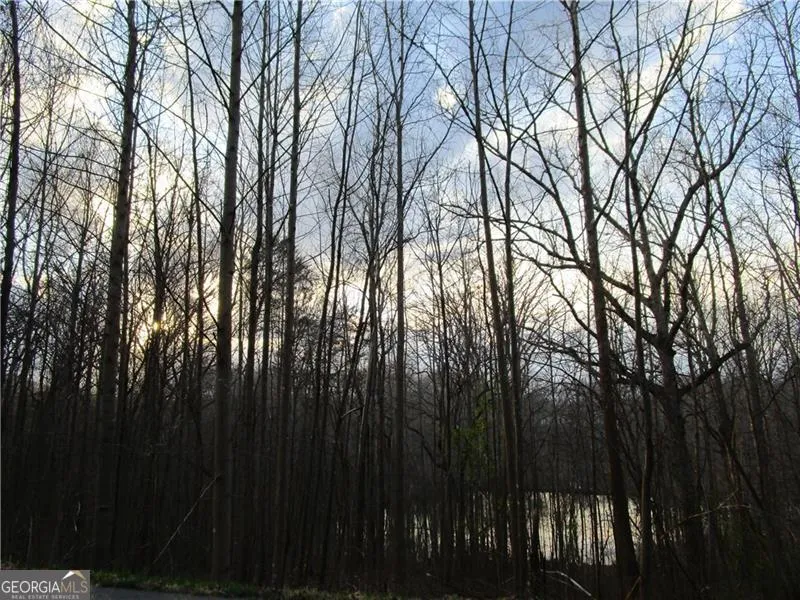 LOT 49 Long Mountain TRL Cleveland, GA 30528