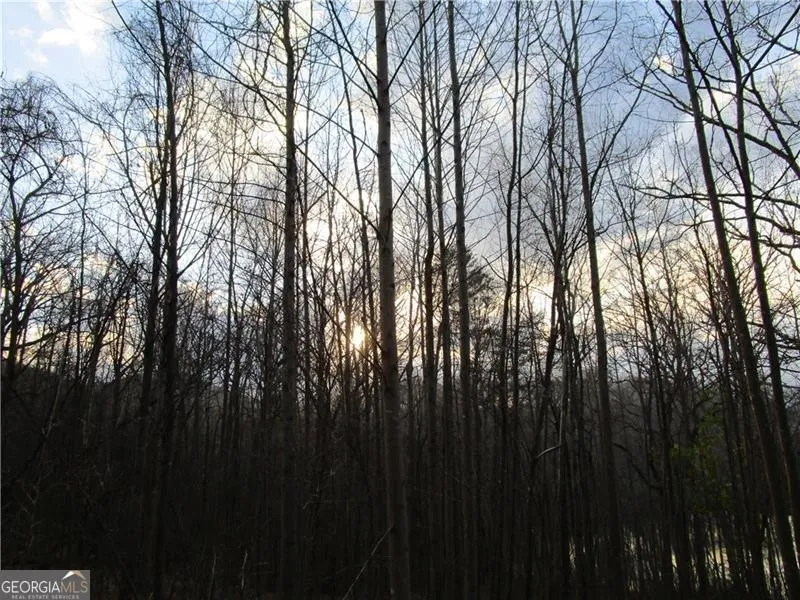 LOT 49 Long Mountain TRL Cleveland, GA 30528