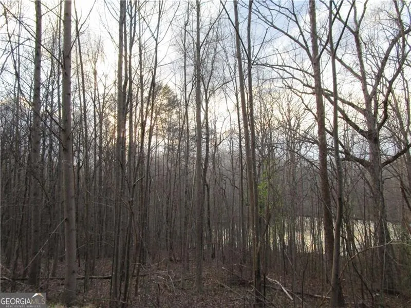 LOT 49 Long Mountain TRL Cleveland, GA 30528