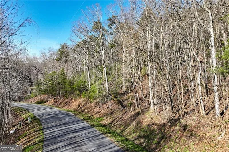 LOT 49 Long Mountain TRL Cleveland, GA 30528