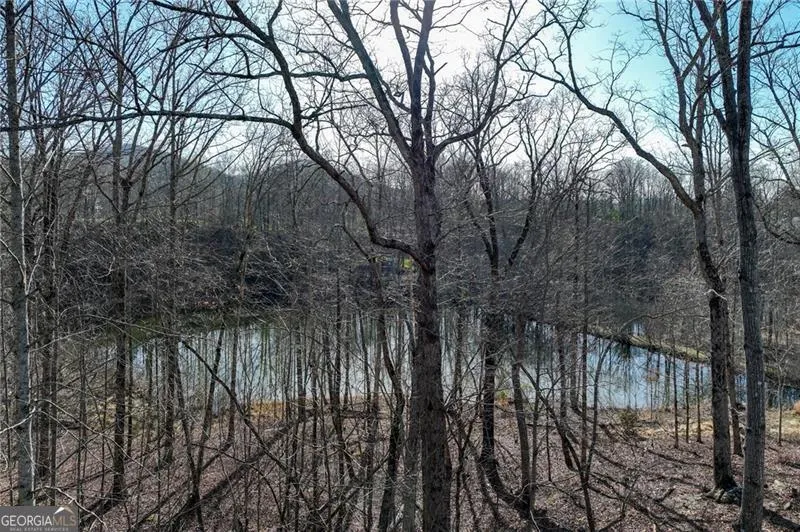 LOT 49 Long Mountain TRL Cleveland, GA 30528