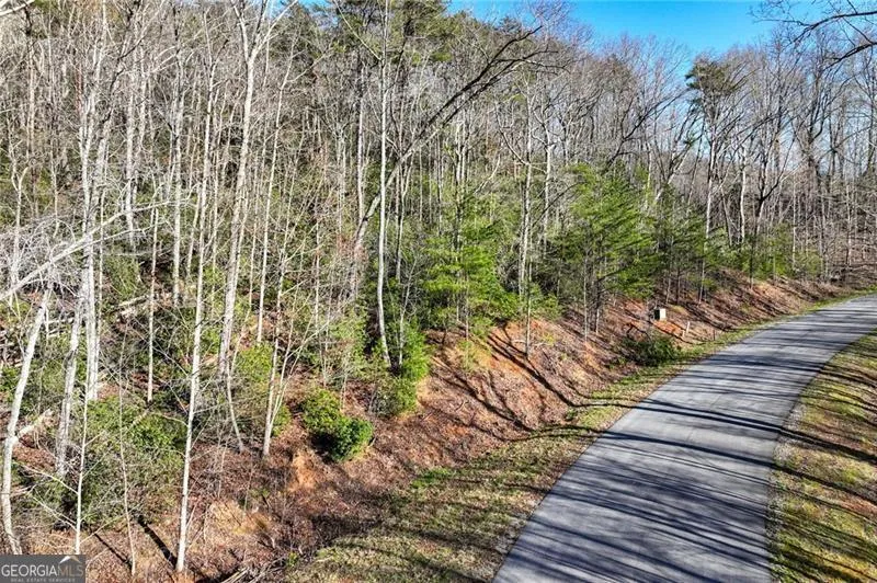 LOT 49 Long Mountain TRL Cleveland, GA 30528
