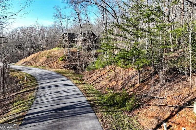 LOT 49 Long Mountain TRL Cleveland, GA 30528