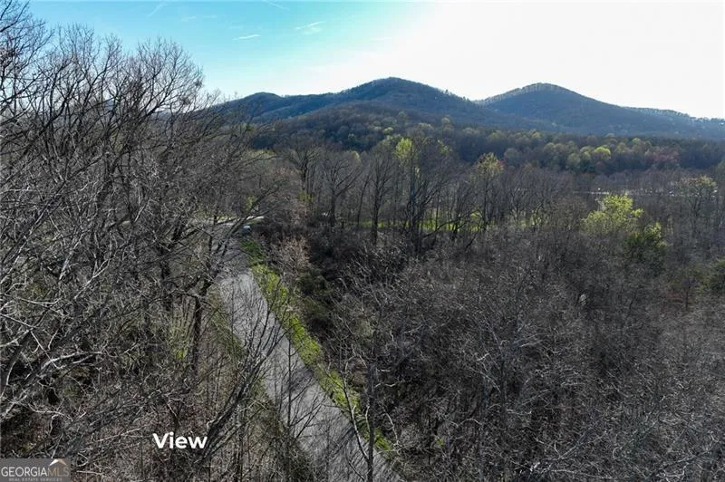 LOT 49 Long Mountain TRL Cleveland, GA 30528