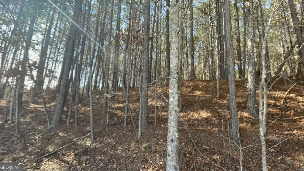 0 Shannon PKWY Union City, GA 30291