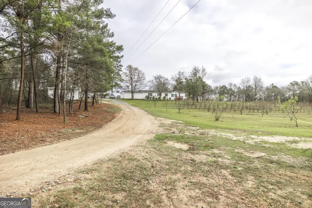 319 Pope RD Roberta, GA 31078