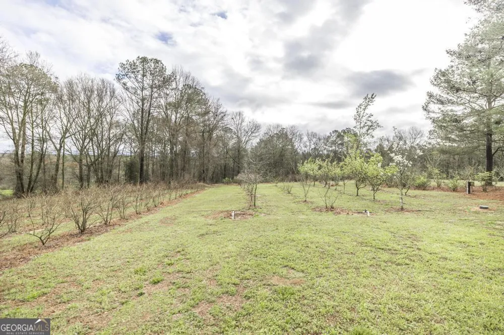 319 Pope RD Roberta, GA 31078