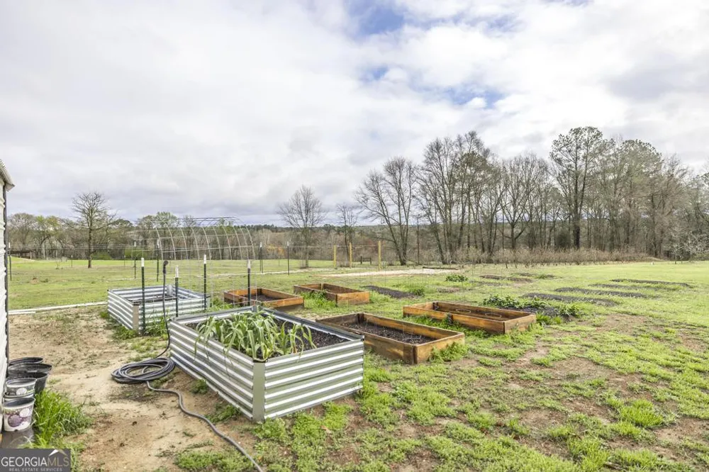 319 Pope RD Roberta, GA 31078