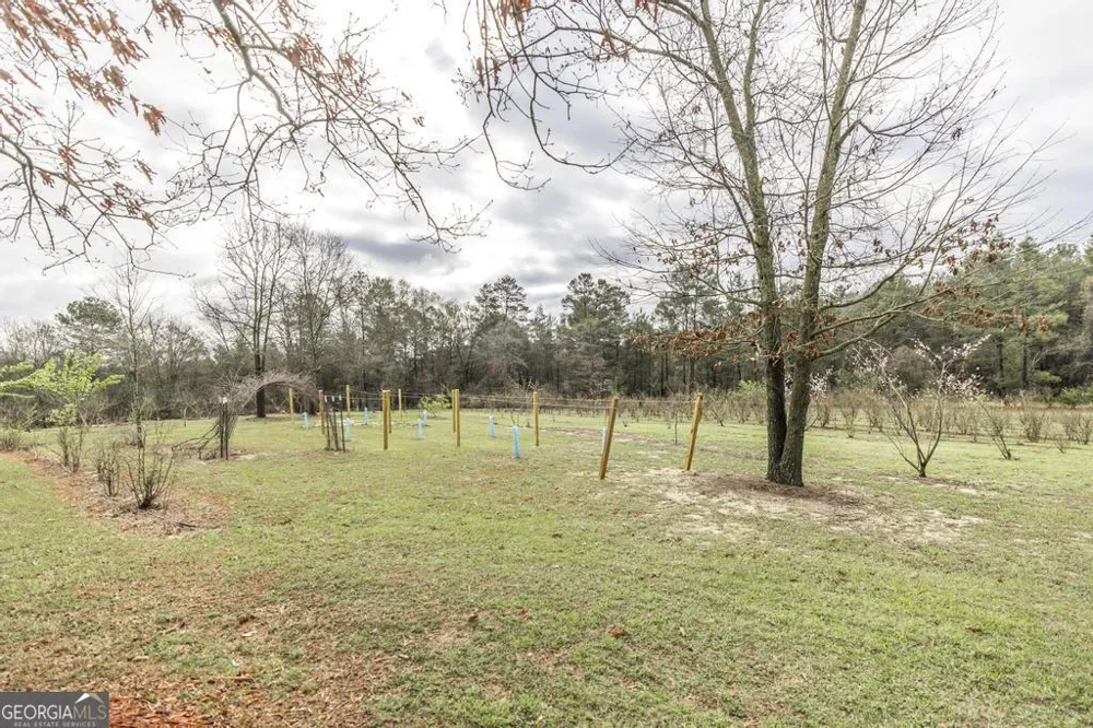 319 Pope RD Roberta, GA 31078