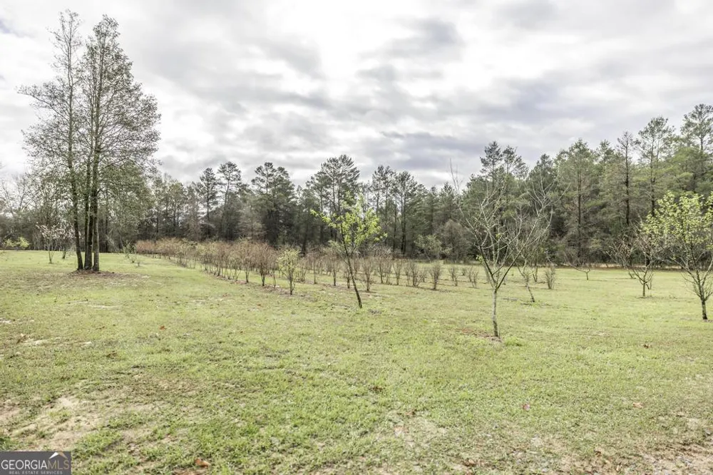 319 Pope RD Roberta, GA 31078