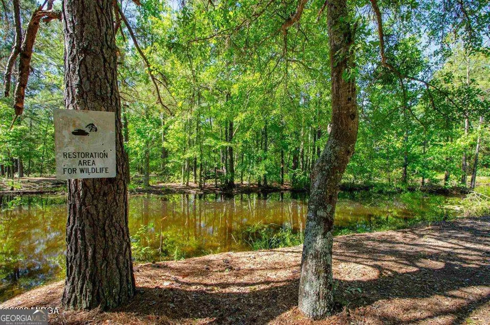 250 Lee Paul RD Hawkinsville, GA 31036