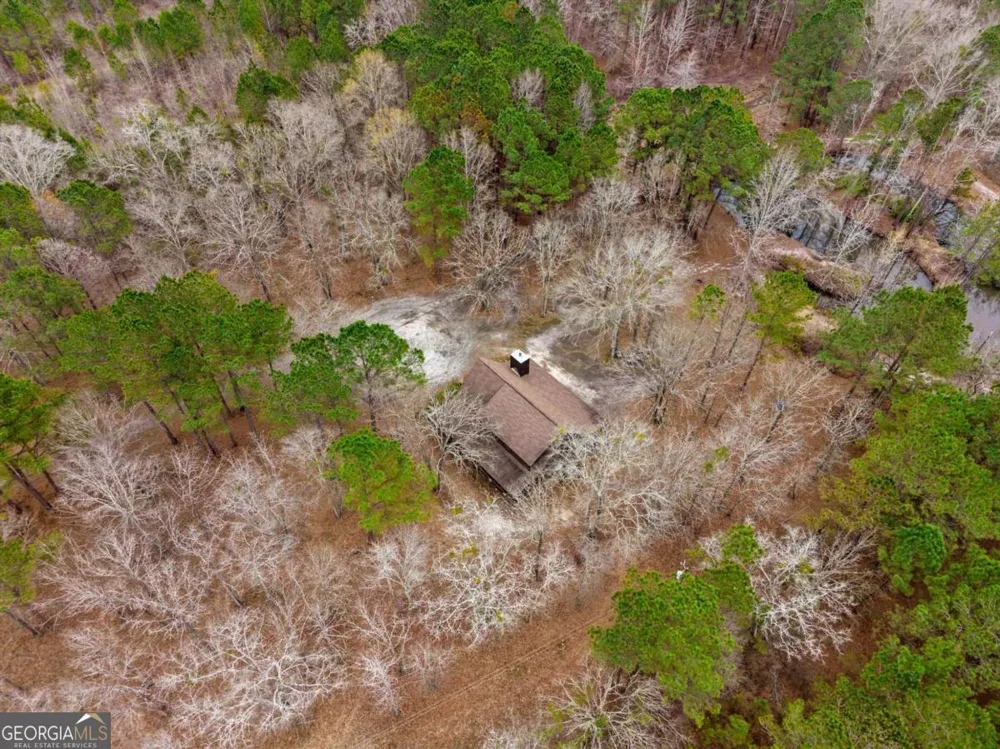250 Lee Paul RD Hawkinsville, GA 31036