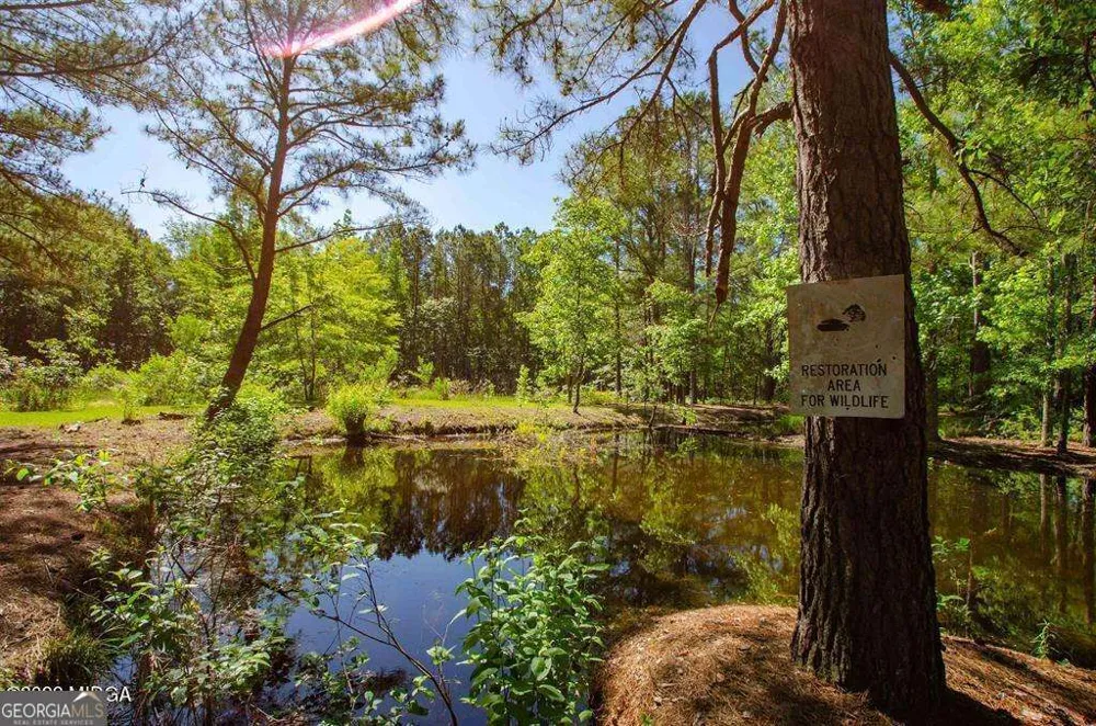 250 Lee Paul RD Hawkinsville, GA 31036