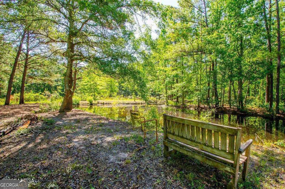 250 Lee Paul RD Hawkinsville, GA 31036