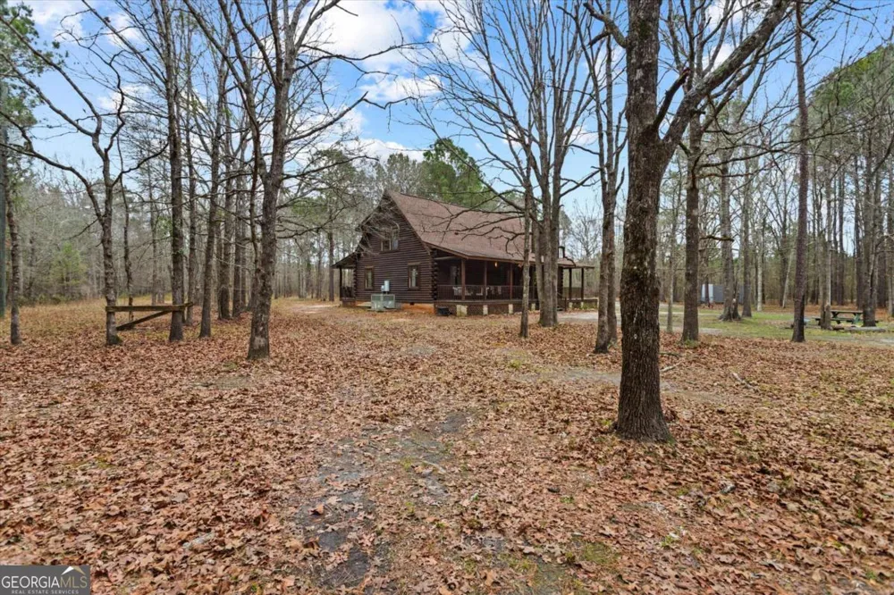 250 Lee Paul RD Hawkinsville, GA 31036