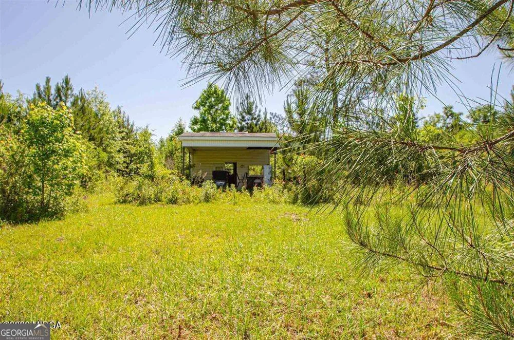 250 Lee Paul RD Hawkinsville, GA 31036