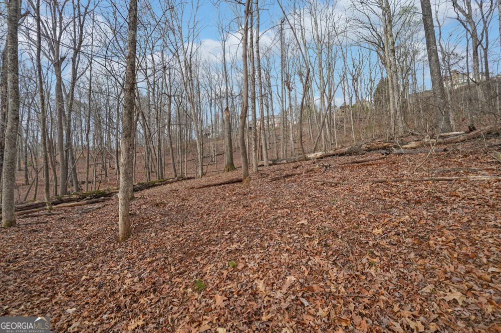 41A&42 Madeline Anthony RD Dahlonega, GA 30533
