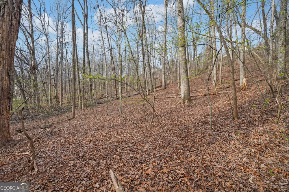 41A&42 Madeline Anthony RD Dahlonega, GA 30533