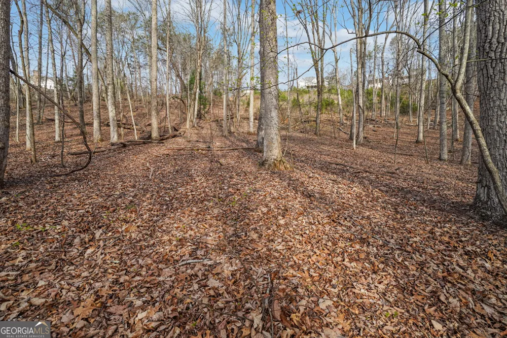 41A&42 Madeline Anthony RD Dahlonega, GA 30533