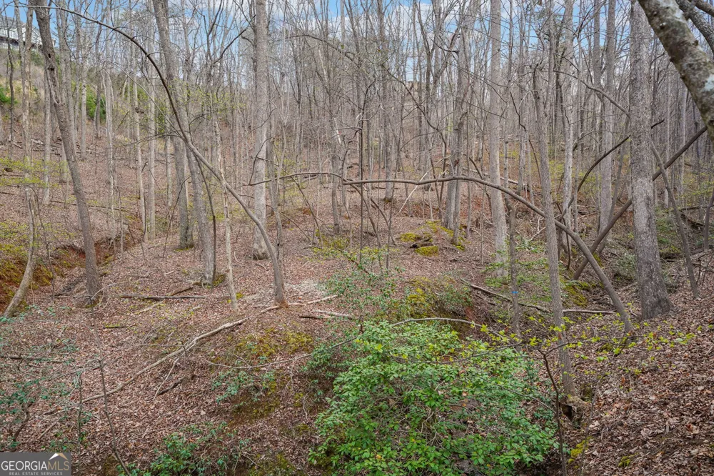 41A&42 Madeline Anthony RD Dahlonega, GA 30533