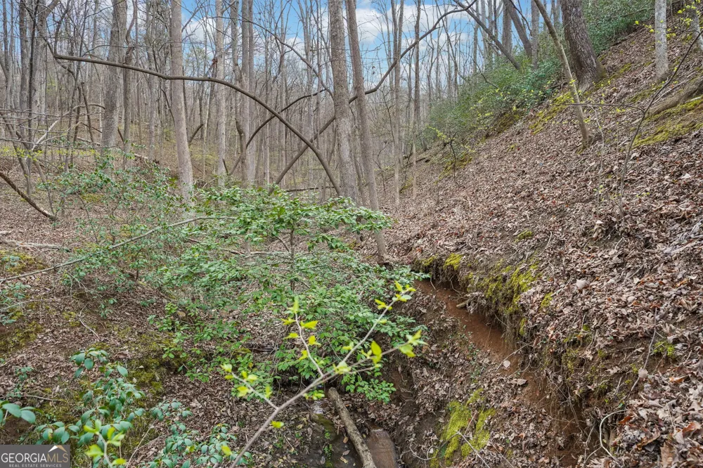 41A&42 Madeline Anthony RD Dahlonega, GA 30533