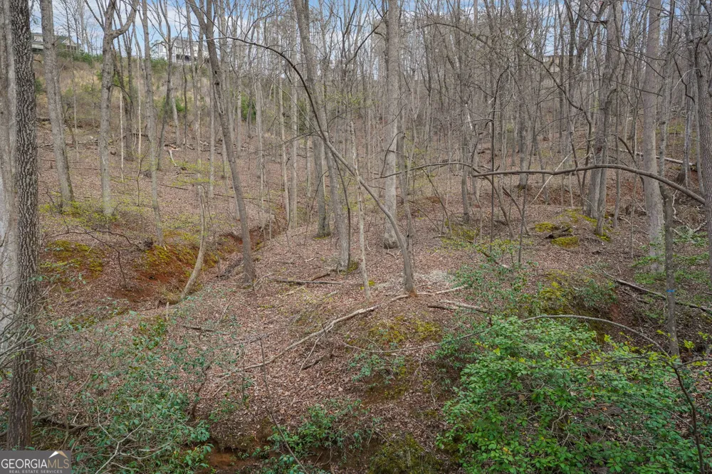 41A&42 Madeline Anthony RD Dahlonega, GA 30533