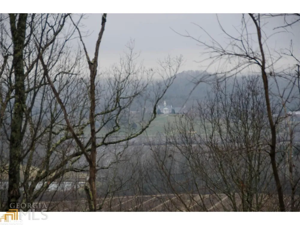 0 LOT 35 Winter CT Rabun Gap, GA 30568