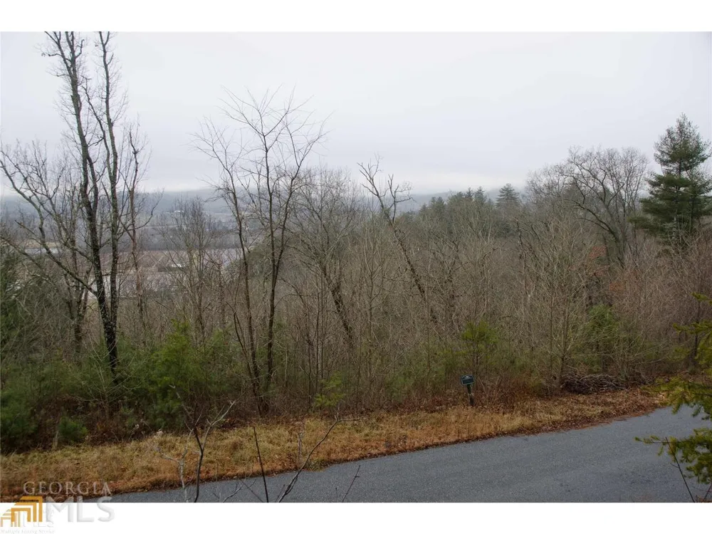 0 LOT 35 Winter CT Rabun Gap, GA 30568