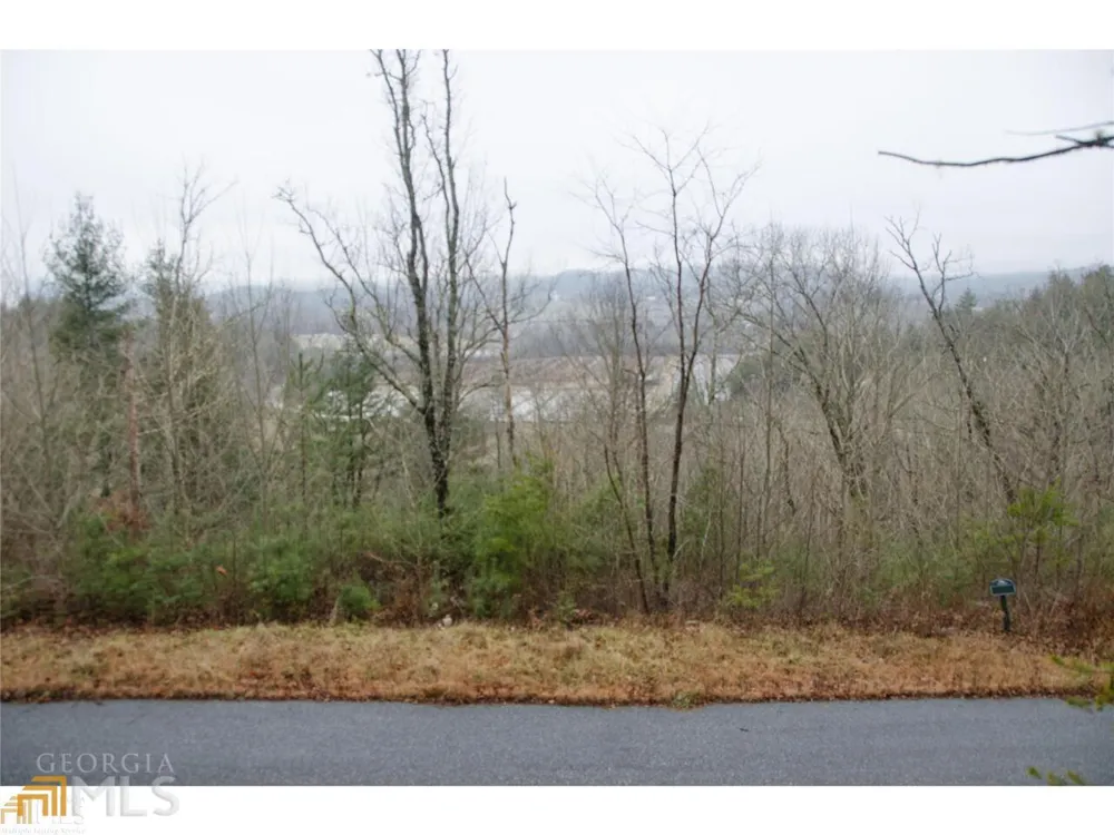 0 LOT 35 Winter CT Rabun Gap, GA 30568