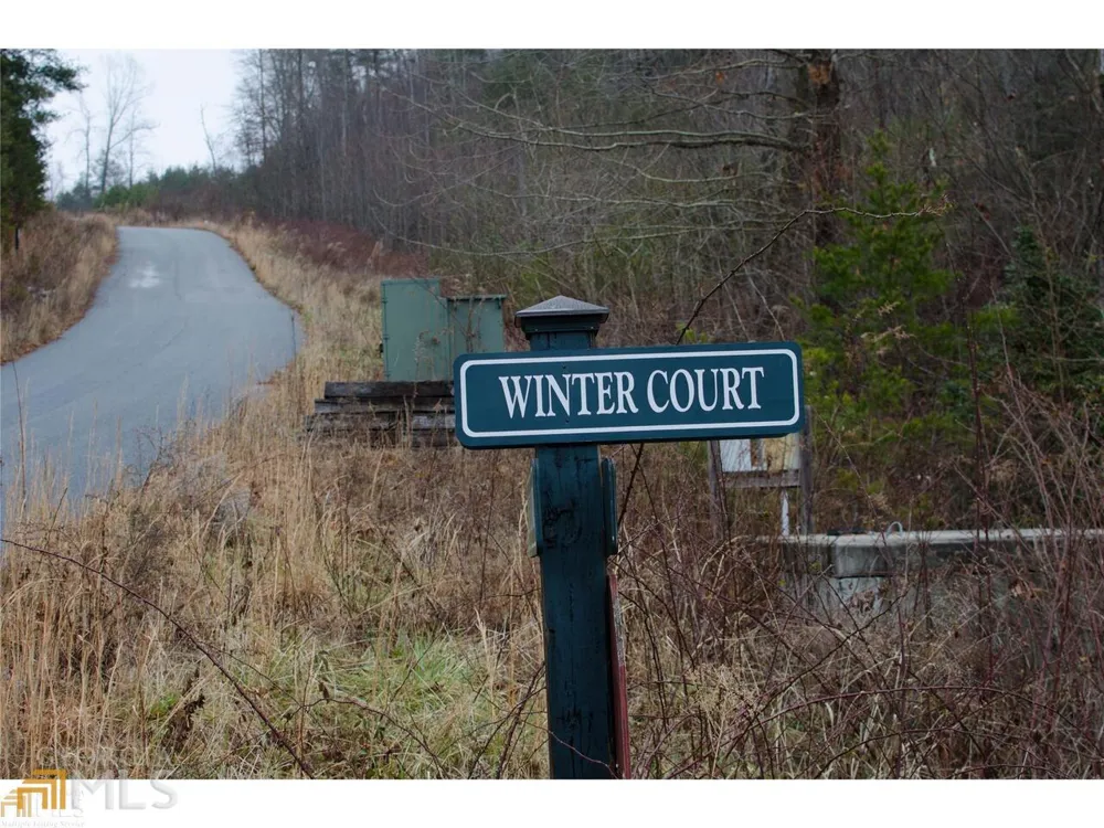 0 LOT 35 Winter CT Rabun Gap, GA 30568