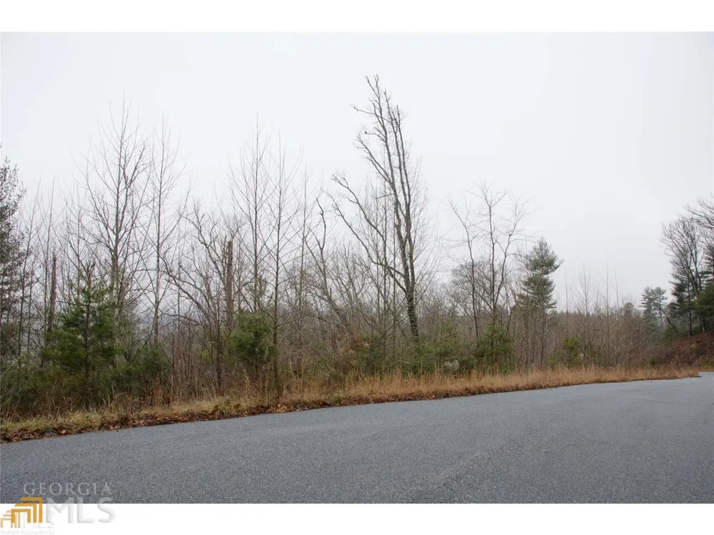 0 LOT 35 Winter CT Rabun Gap, GA 30568