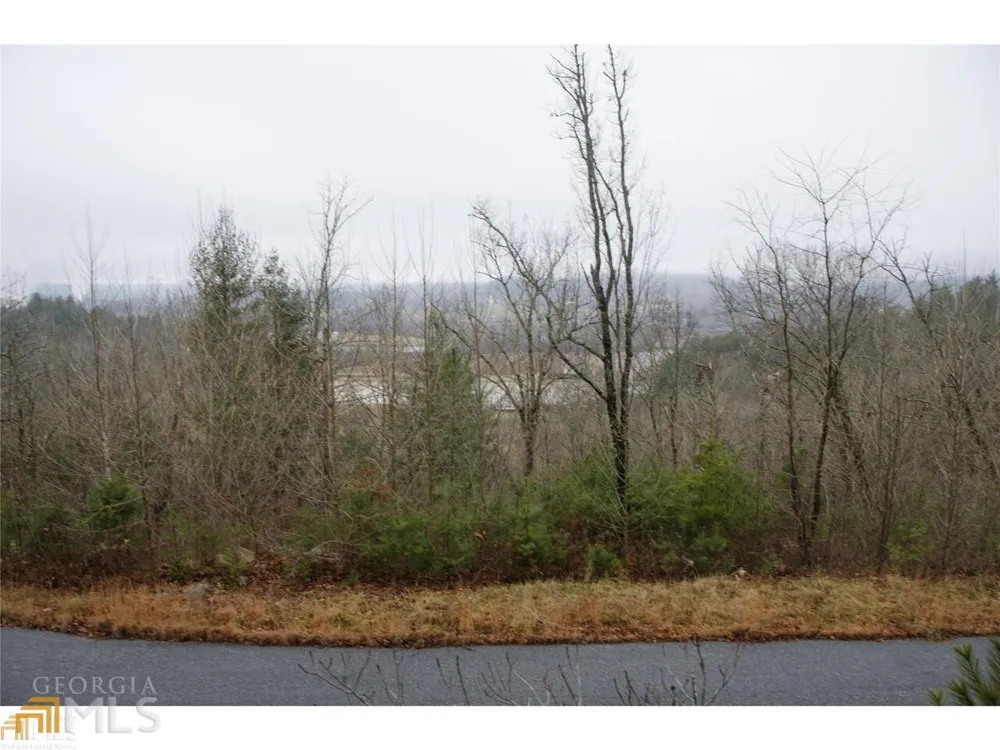 0 LOT 35 Winter CT Rabun Gap, GA 30568