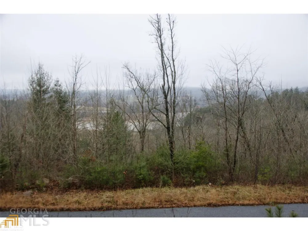 0 LOT 35 Winter CT Rabun Gap, GA 30568