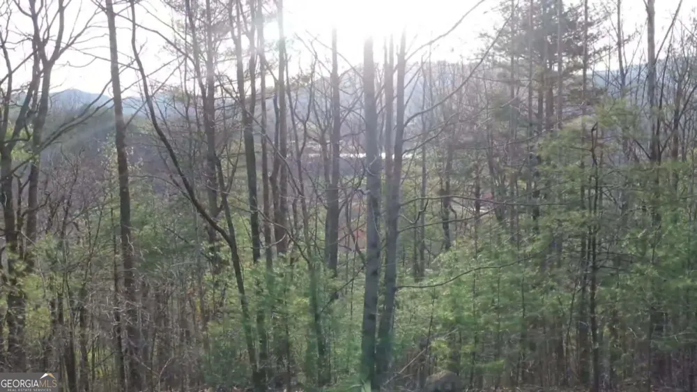 0 LOT 35 Winter CT Rabun Gap, GA 30568