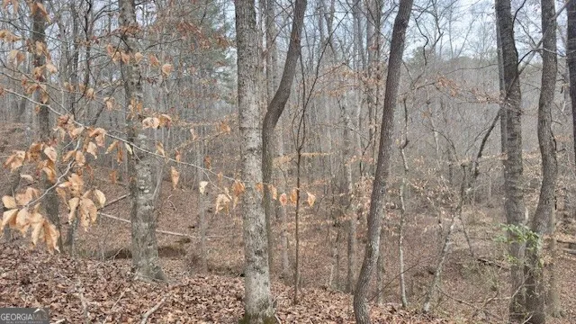 00 LOT1 N. Helton RD Winston, GA 30187