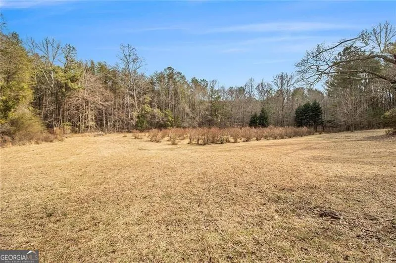 490 Dorsey RD Hampton, GA 30228